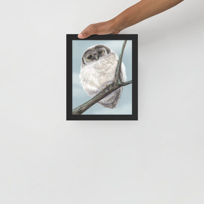 Chilly Owl Framed Poster-8x10