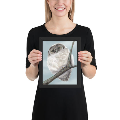 Chilly Owl Framed Poster-8x10