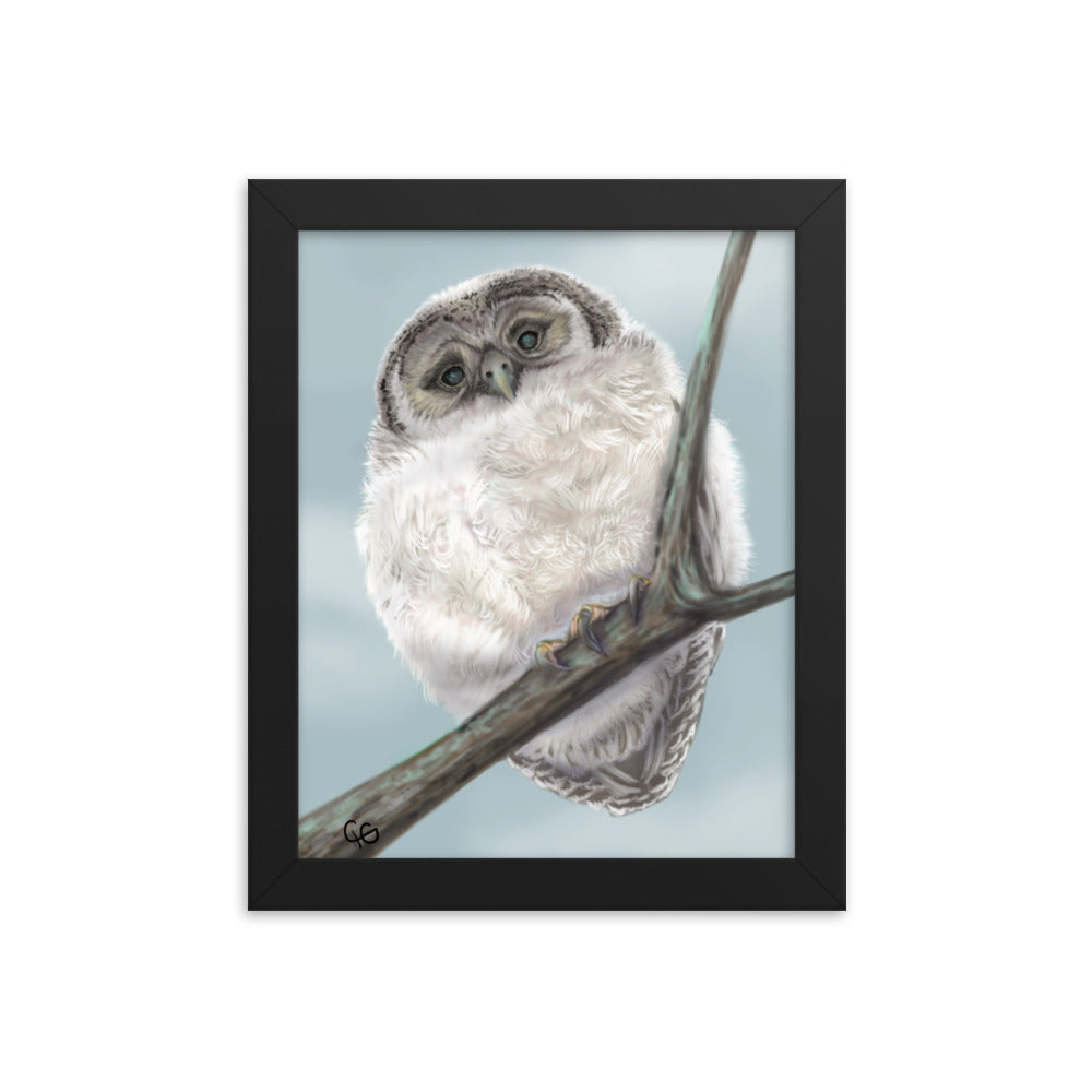 Chilly Owl Framed Poster-8x10