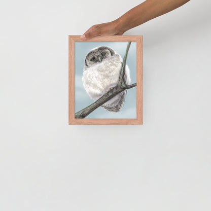 Chilly Owl Framed Poster-8x10