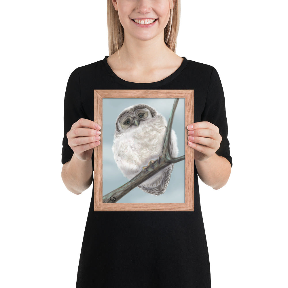 Chilly Owl Framed Poster-8x10