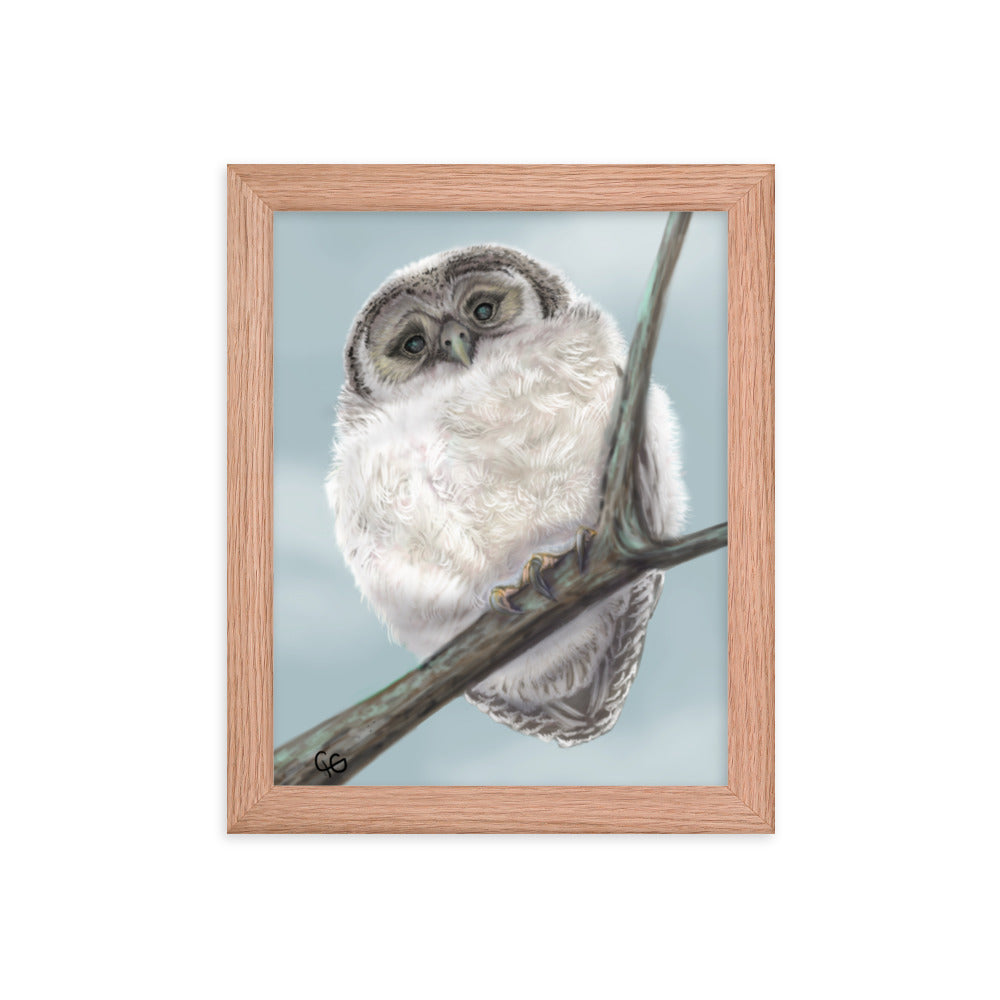 Chilly Owl Framed Poster-8x10